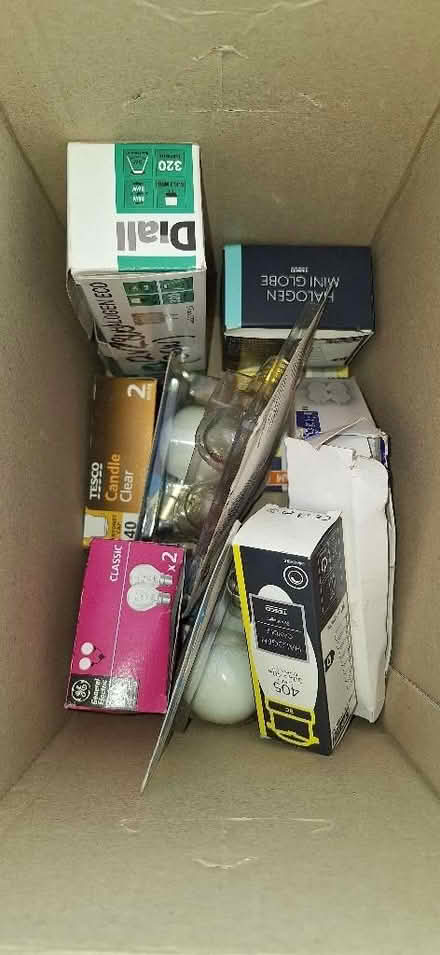 Photo of free Mixture of light bulbs (Kendal LA9) #1