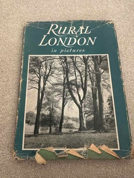 Photo of free Book - rural London in pictures (East molesey) #1