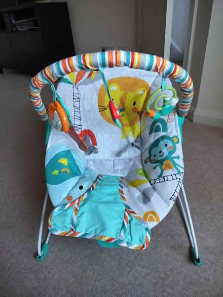 Photo of free Baby bouncer (Maidenbower, RH10) #1