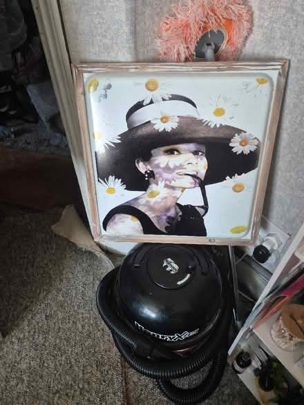 Photo of free Audrey Hepburn picture (Chatham ME4) #1