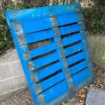 Photo of free Pallet (Radstock) #1