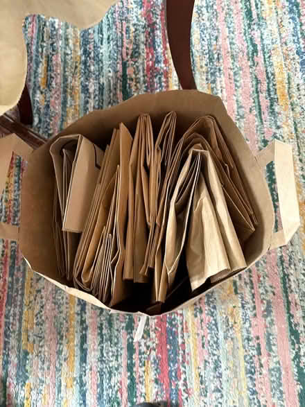 Photo of free Paper bags (Drexel Hill) #1