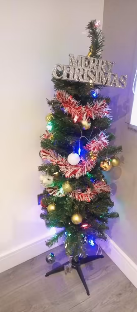 Photo of free Christmas tree (BD1 City Centre) #1