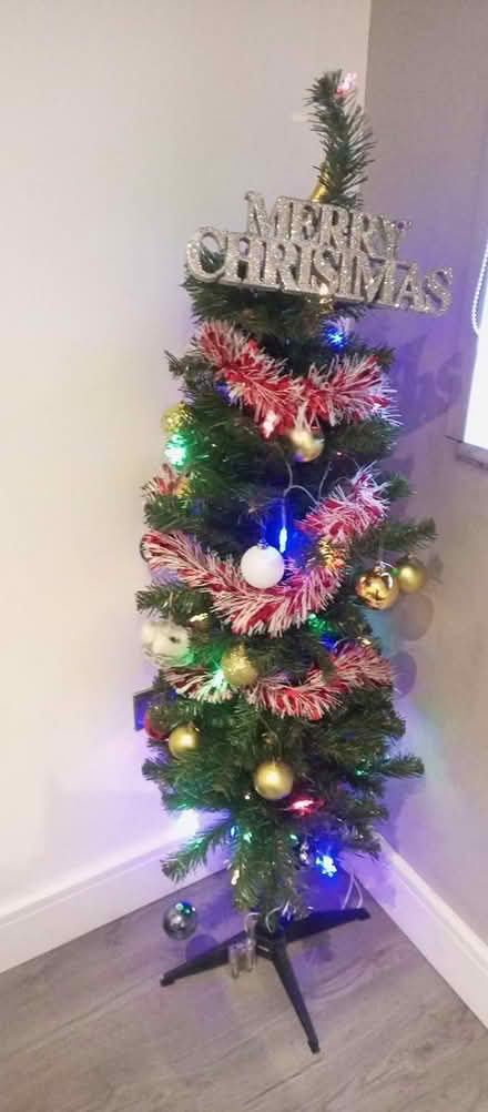Photo of free Christmas tree (BD1 City Centre) #1
