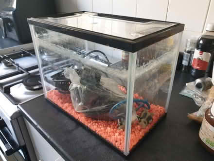 Photo of free Small fish tank and pump (Putney SW15) #1