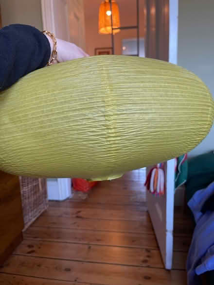 Photo of free Green light shade (Wood Green N22) #1