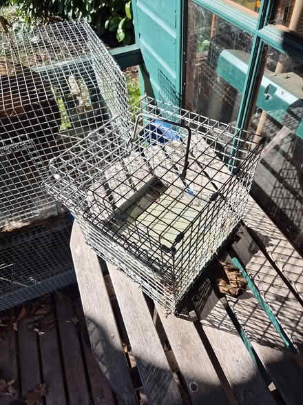 Photo of free Degu/small animal cage - small (Farnham Common SL2) #2