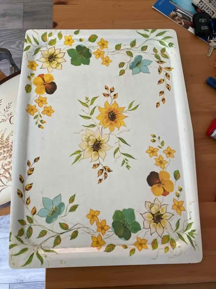 Photo of free 2 large trays (MacMillan Way) #1