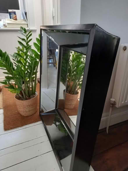 Photo of free Large Mirror (Maidstone) #2