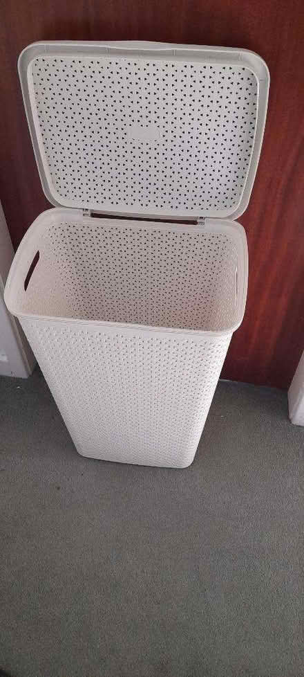 Photo of free Laundry Basket (Pantymwyn CH7) #3