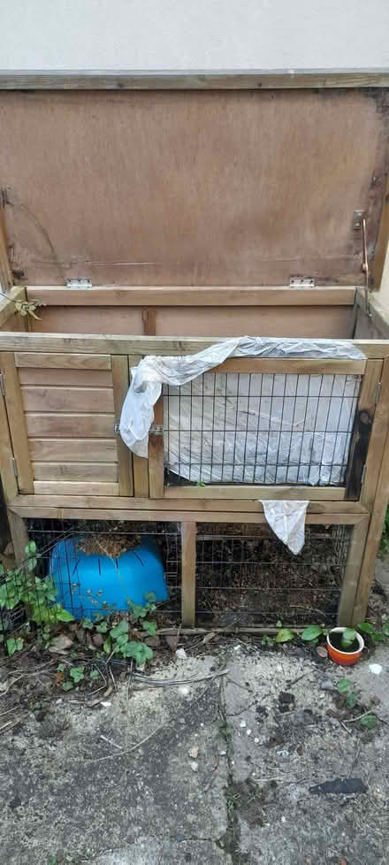 Photo of free Guinea pig cage (Battledown GL52) #1
