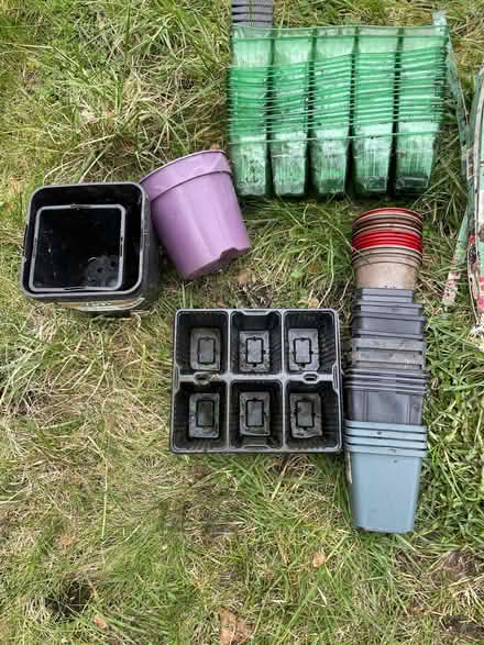 Photo of free Plant pots and seed modules (Mossley OL5) #3