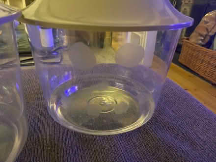 Photo of free 3x classic goldfish bowls (Penge BR3) #4