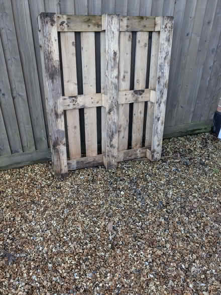 Photo of free Pallet (Southbourne BH6) #1