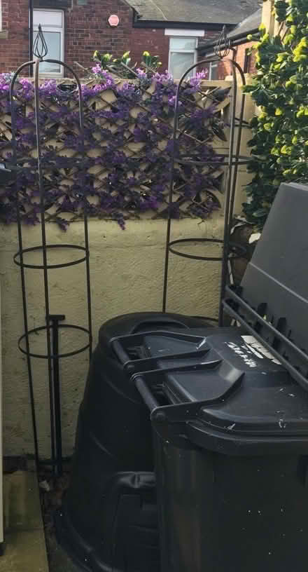 Photo of free Garden Obelisk growing frame (Starbeck HG1) #1