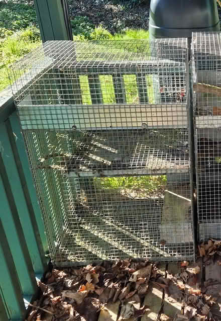 Photo of free Degu / small animal cage - medium (Farnham Common SL2) #1