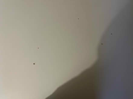 Photo of free IKEA large desk (Lloyds Park, Walthamstow) #3
