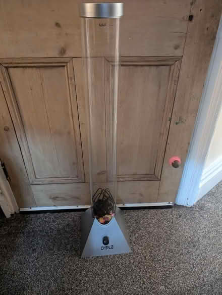 Photo of free fish bubble lamp (Waterloo HD5) #1