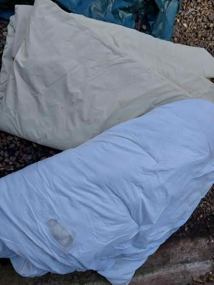 Photo of free 2 duvets for dog bedding (South Heath HP16) #1