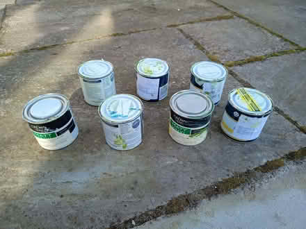 Photo of free Seven interior paint tester pots, in various shades of green (New Marston OX3) #1