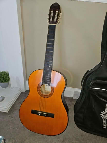 Photo of free Guitar And Case (Queenstown FY1) #2