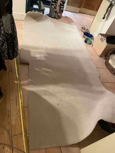 Photo of free Two carpet remnants beige wool hessian backed (Loddon NR14) #3