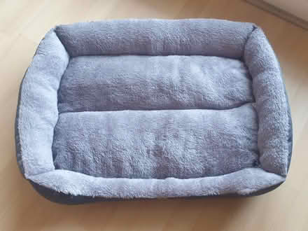 Photo of free Dog Beds (London E16) #3