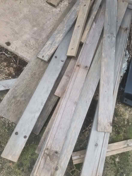 Photo of free Wood for fire or crafts (Kingsley Park) #2