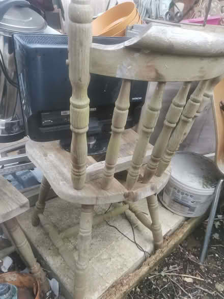 Photo of free Wood for fire or crafts (Kingsley Park) #1