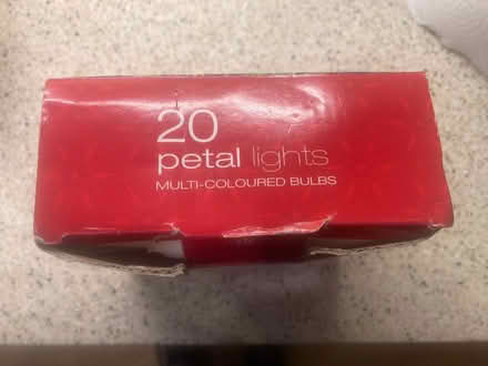 Photo of free Twenty Electric Fairy Lights (Bussage GL6) #2