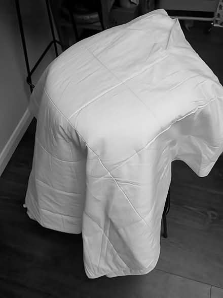 Photo of free Well used mattress protector - maybe for dog bed? (Henley-on-Thames RG9) #1