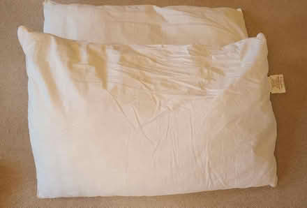 Photo of free 2 pillows (Littlemore OX4) #1