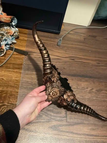 Photo of free Horns costume prop (Silver Spring) #1