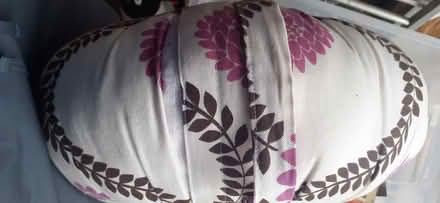 Photo of free Travel cushion? (Livingston EH54) #3