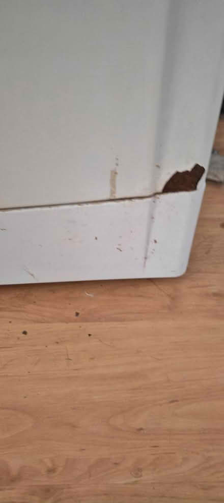 Photo of free Indesit wash dry washing machine (NE165UL) #2