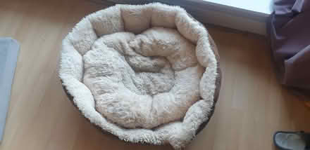Photo of free Dog Beds (London E16) #1