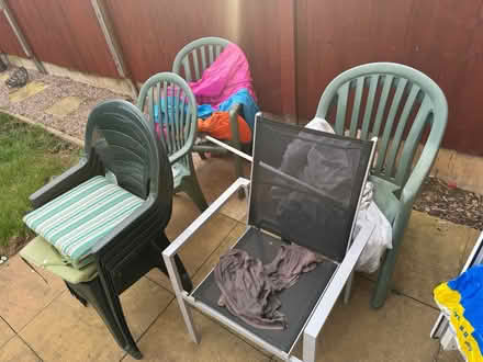 Photo of free Garden chairs (Oakwood derby) #1
