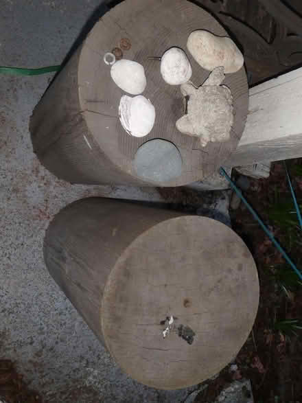 Photo of free Wood (Interbay/Queen Anne) #2