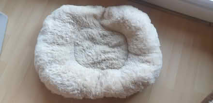 Photo of free Dog Beds (London E16) #2