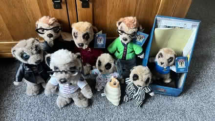 Photo of free Meerkat Soft Toys (Darby Green GU17) #1