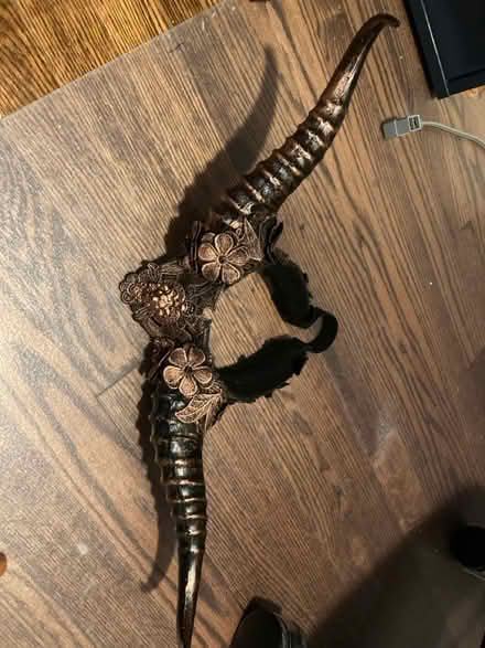 Photo of free Horns costume prop (Silver Spring) #2