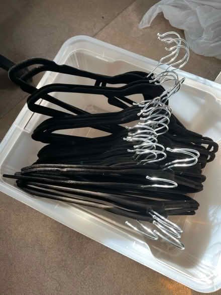 Photo of free 30x flocked black coat hangers (Angel N1) #1