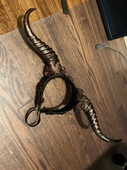 Photo of free Horns costume prop (Silver Spring) #3