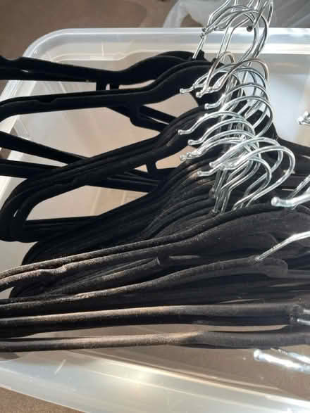 Photo of free 30x flocked black coat hangers (Angel N1) #2