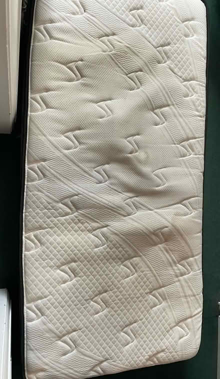 Photo of free Single mattress (S41 9, Old Whittington) #2