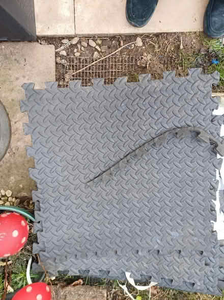 Photo of free Foam tiles (Randlay TF3) #1