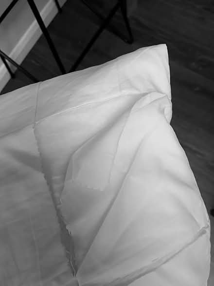 Photo of free Well used mattress protector - maybe for dog bed? (Henley-on-Thames RG9) #2