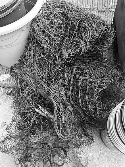 Photo of free Garden netting (Henley-on-Thames RG9) #1