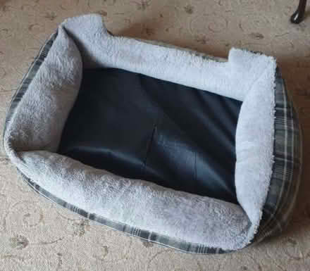 Photo of free Dog bed (Caversham Heights RG4) #1