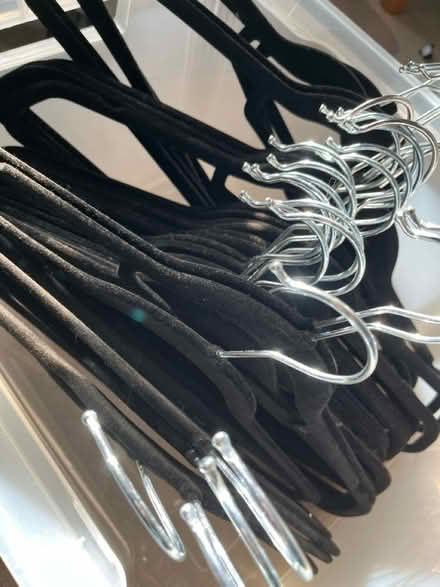 Photo of free 30x flocked black coat hangers (Angel N1) #3